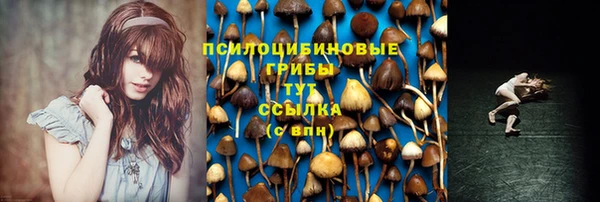 таблы Алзамай