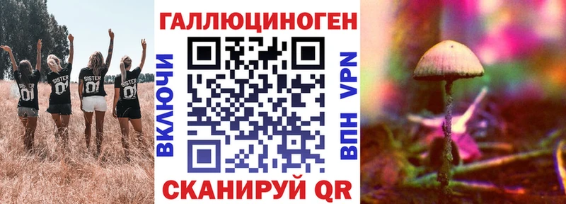 купить   блэк спрут маркетплейс  Галлюциногенные грибы мухоморы  Волгодонск 