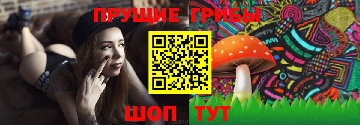 где купить   Галлюциногенные грибы мицелий  Вход с VPN  Псилоцибиновые грибы GOLDEN TEACHER  Волгодонск 